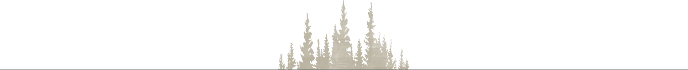 Component 3 – 1