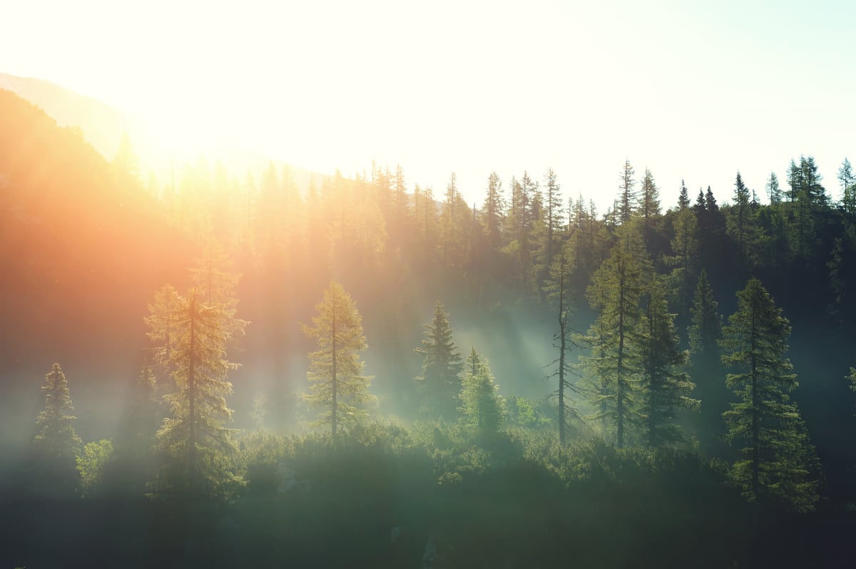 Sun_horizon