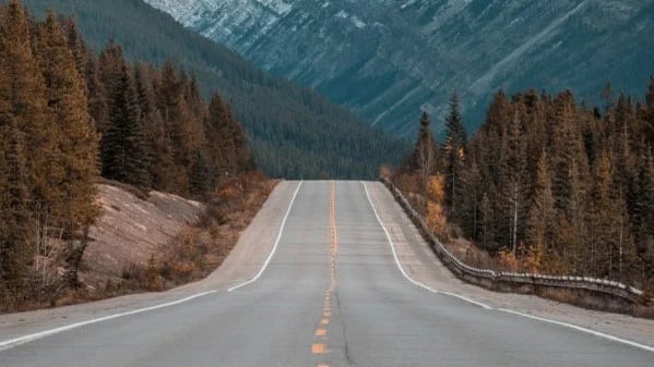 Canada GST for Dummies - True North Accounting – Calgary Small Business Accountants